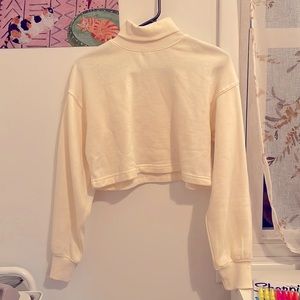 Cropped turtle neck